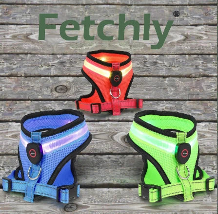 GlowFetch™ Rechargeable LED Dog Harness