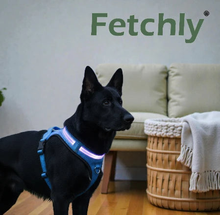 GlowFetch™ Rechargeable LED Dog Harness