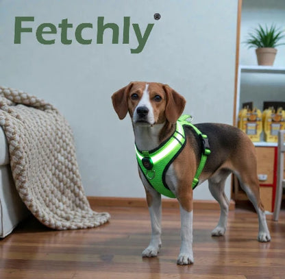 GlowFetch™ Rechargeable LED Dog Harness