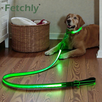 GlowTrail™ LED Dog Leash