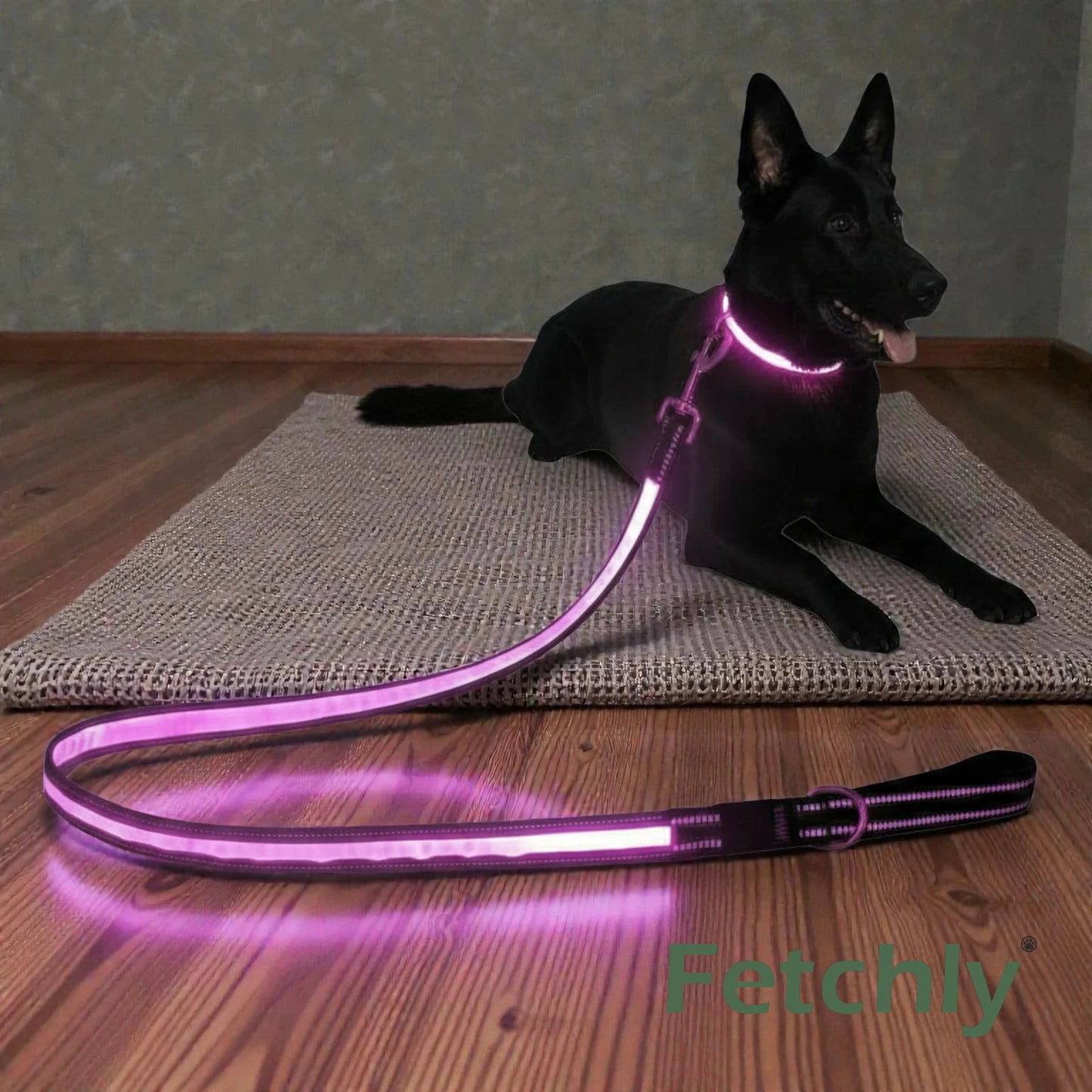 GlowTrail™ LED Dog Leash