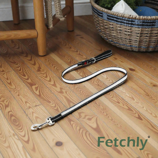 GlowTrail™ LED Dog Leash