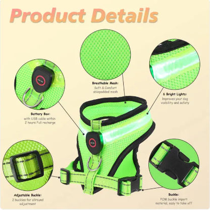 The GlowFetch LED Dog Harness
