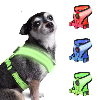 The GlowFetch LED Dog Harness