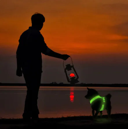 The GlowFetch LED Dog Harness